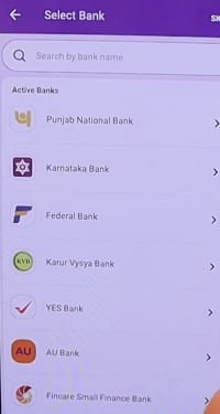 phonepe bank statement