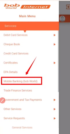 bob mobile banking