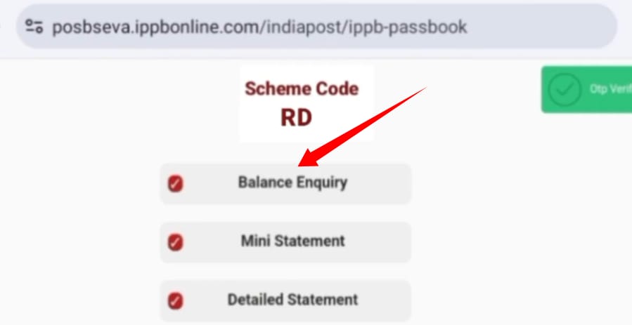 rd balance inquiry